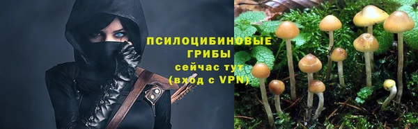 гашик Балахна