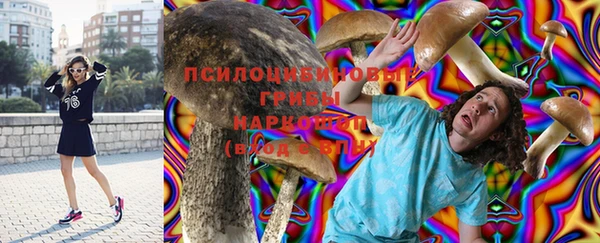 гашик Балахна