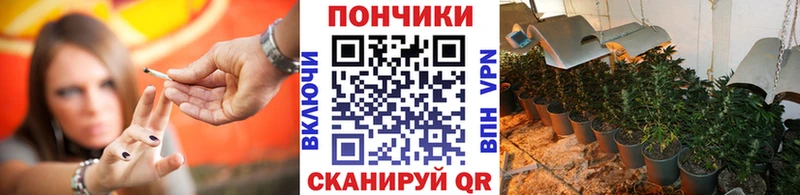 Марихуана сатива Салаир